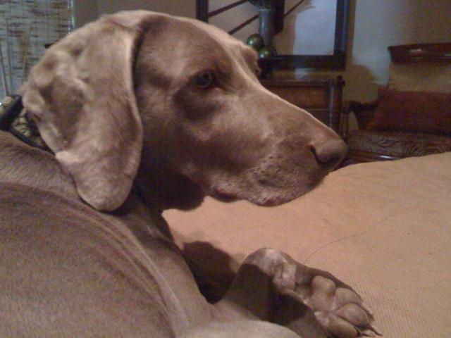 Lois the lover